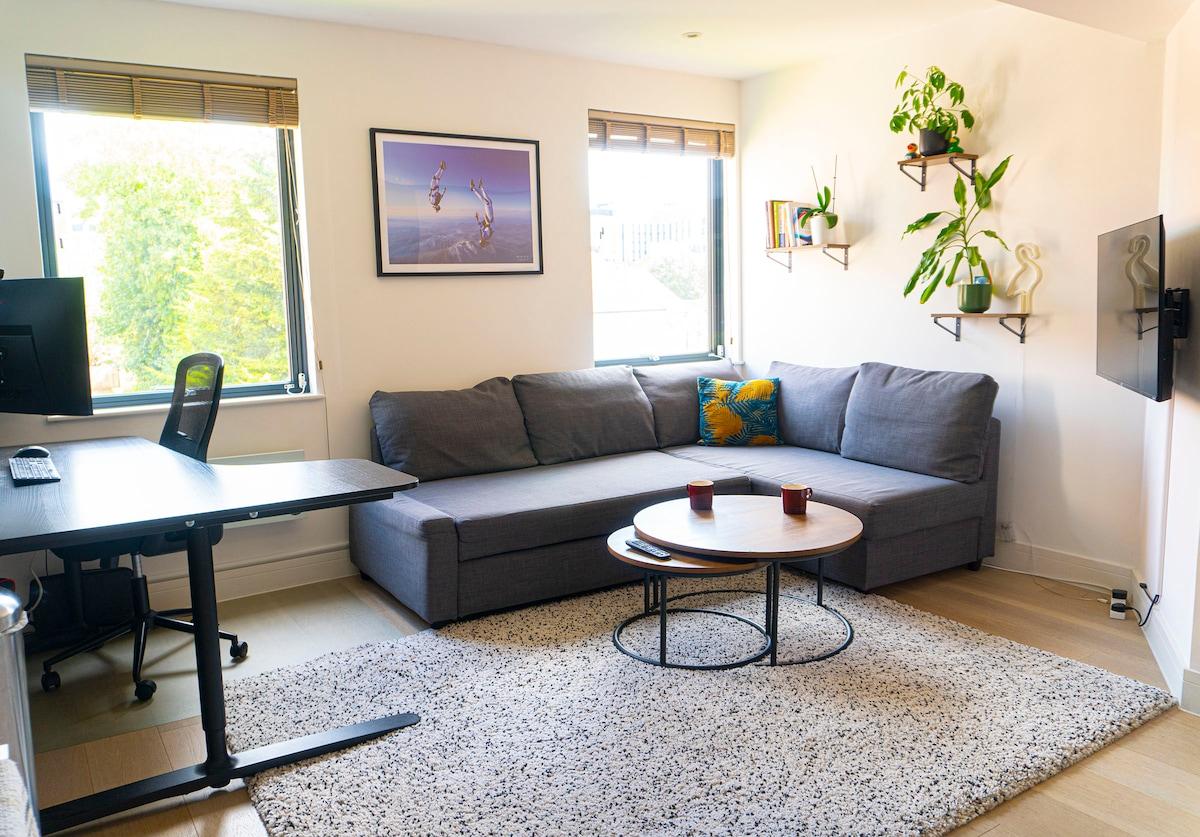 Stylish 1 Bed Penthouse | Close to Slough station2